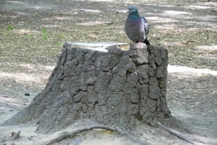 �������� ����� �� ����� ��������, � � ����� ������ ���������, �������� ���������