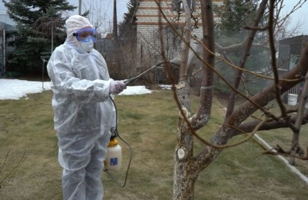 Первая весеняя обработка сада