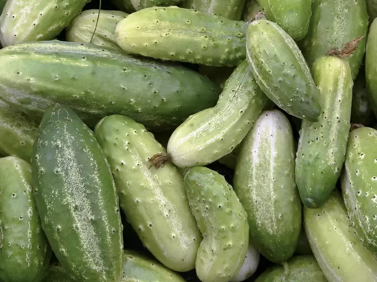 Огурцы подорожали до цен авокадо: как инфляция влияет на рынок овощей