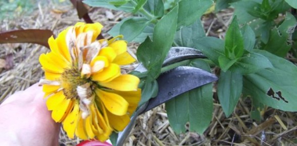 ��� ��������� ��� ���: ���������� ������� ��������� ������