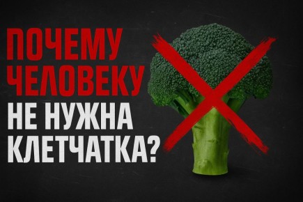 Клетчатка: необходимый элемент или скрытая угроза для здоровья?