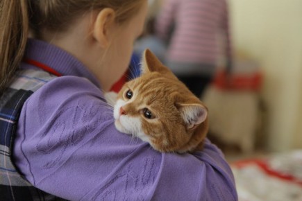 Как аккуратно жить с питомцем в съёмной квартире: советы специалистов