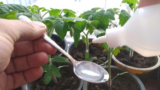 ������� �������� ������ � ����������� ������� �������