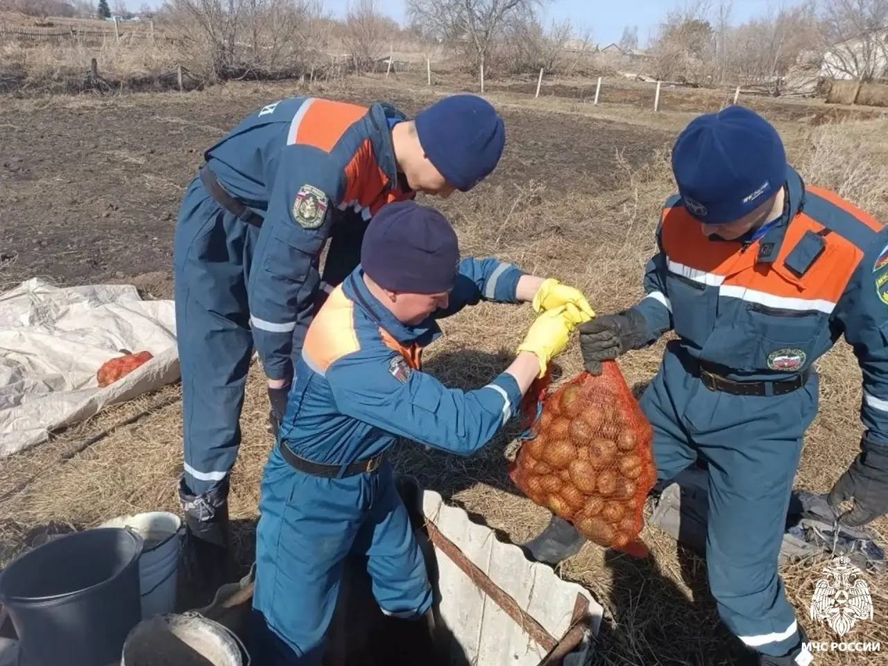 Паводок в Новосибирской области: последние данные Паводок в Новосибирской области: последние данные