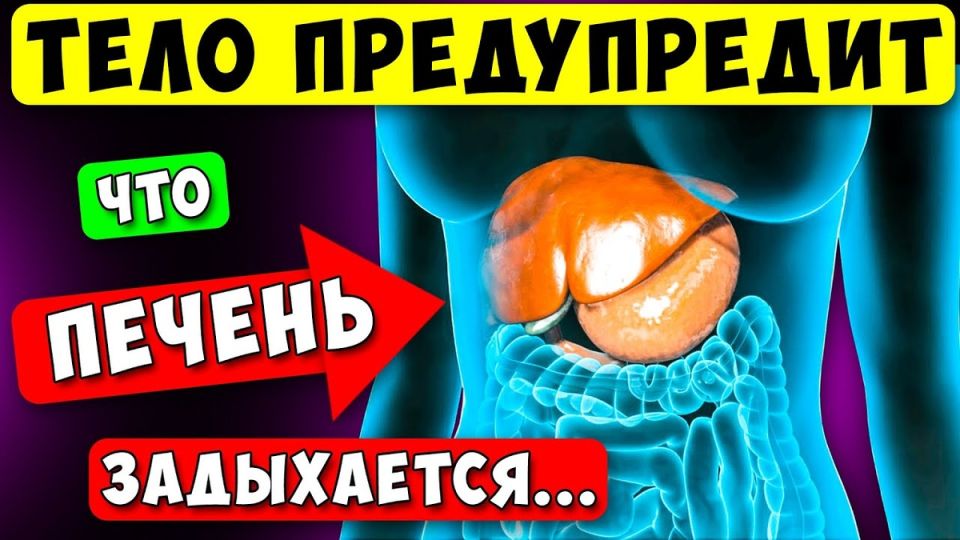 ������� � ��������� � �������: ����� �������� �������������