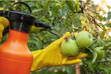 ��� ������� ����� ����������� � �������� ��� ������ ����