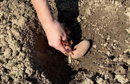 ��� ���� ����� �������� ����� �������� ��� �������� ������