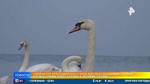 Аграрные достижения Краснодарского края и как регион готовится к старту нового курортного сезона накануне поздно вечером обсуждали в Кремле