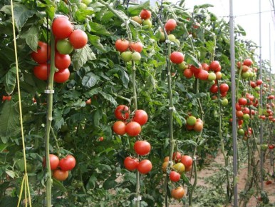 ����� ����� ������ ��������: ������ ��������� ��� ������ � 2025 ����