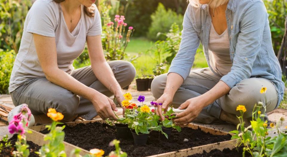 ��� ��� �������� ��������: ��� ������ �� ������� ������� ������