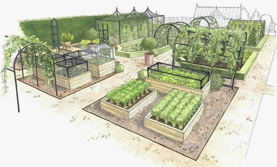 ������������ ������� �� ��������� ���: ���� ����� � ������