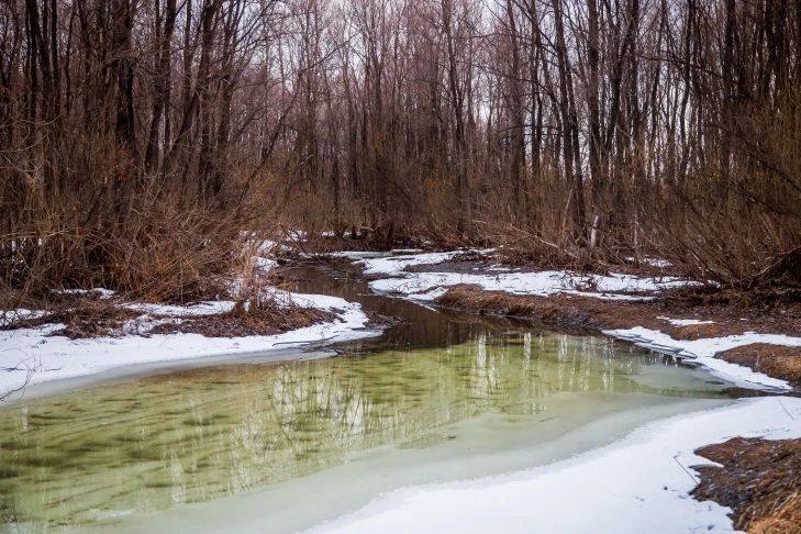 �������� ������ �� ���������� ���� �� ��� ��� �������������