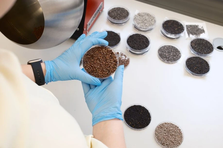 Гель для увеличения всхожести семян создали в Новосибирске