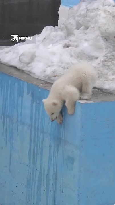 �� �����, ��������� ������ � � �� �� �������