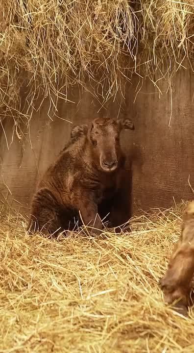 � ������������� �������� ����������!