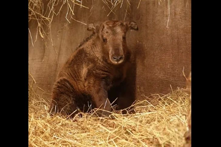 � �������� ������������ ���������� � �������� ����������� ������