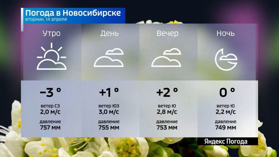 ������� ������ �� 14 ������ 2026 ���� � ������������� �������