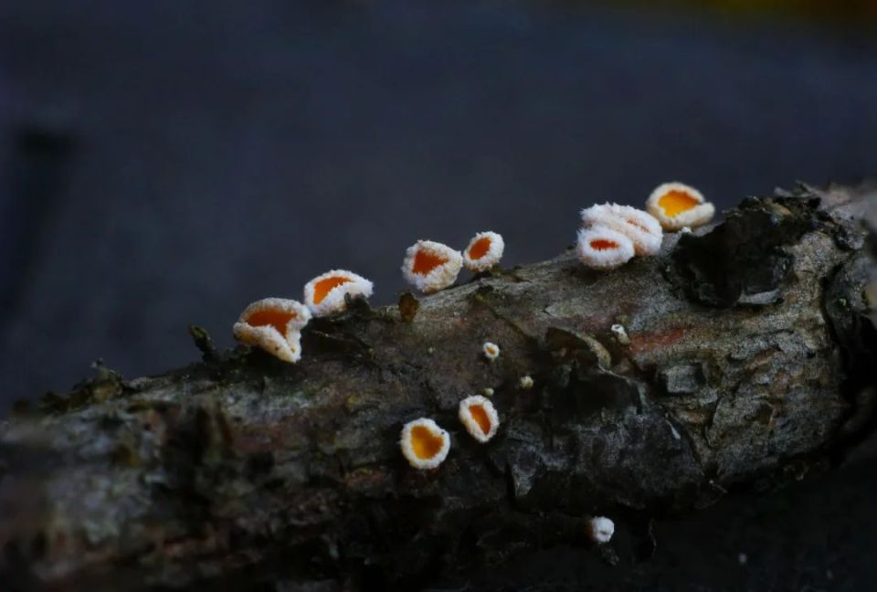 ������������� ������ ����� � �������� ���� ��������� ����