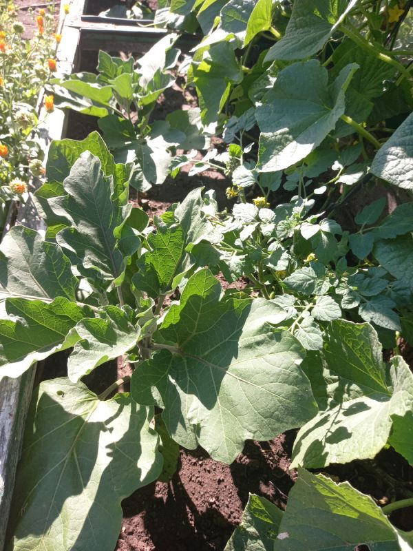 ����������� ����������: ������� ��������� ����� � �������