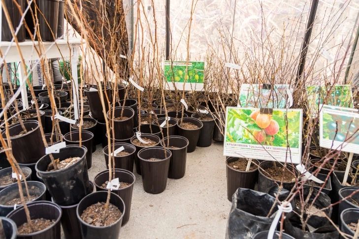 ������� ������� �������� ��������� ������������ ����� ������� ������� ������