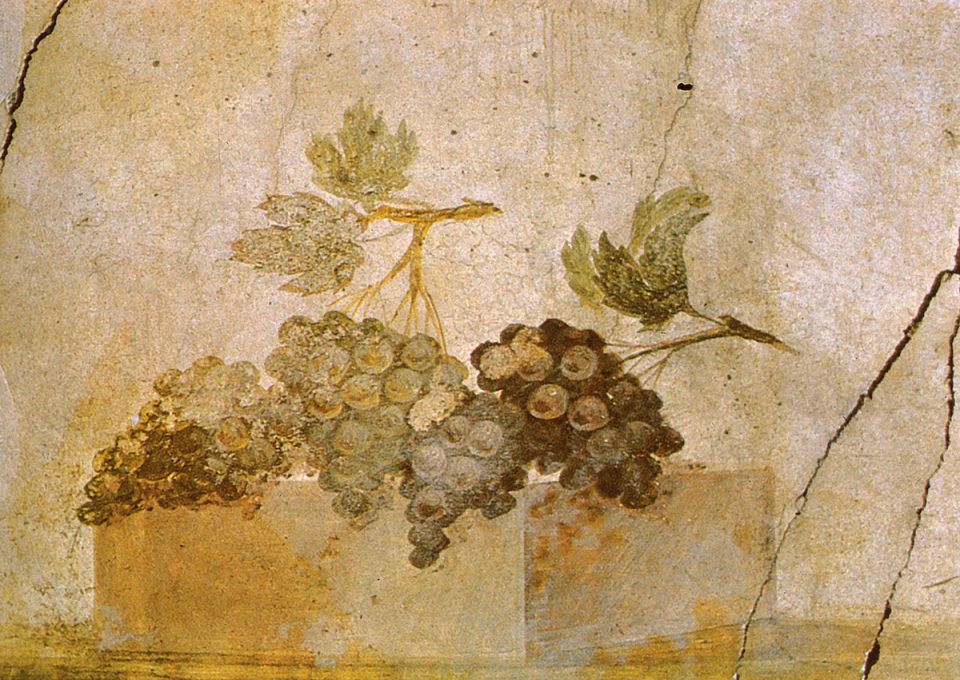 �������� �������� ����: ��� �������� ����������� ������������ ��� ��� ��������