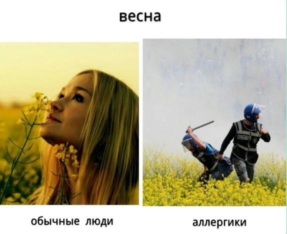 ��� ����� �������� ����������� �������� ��������� � ������������� �������