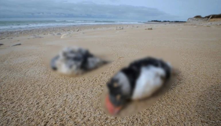 �� ���� �� ������������� ��������� ������� ��������� ����� 45 ���