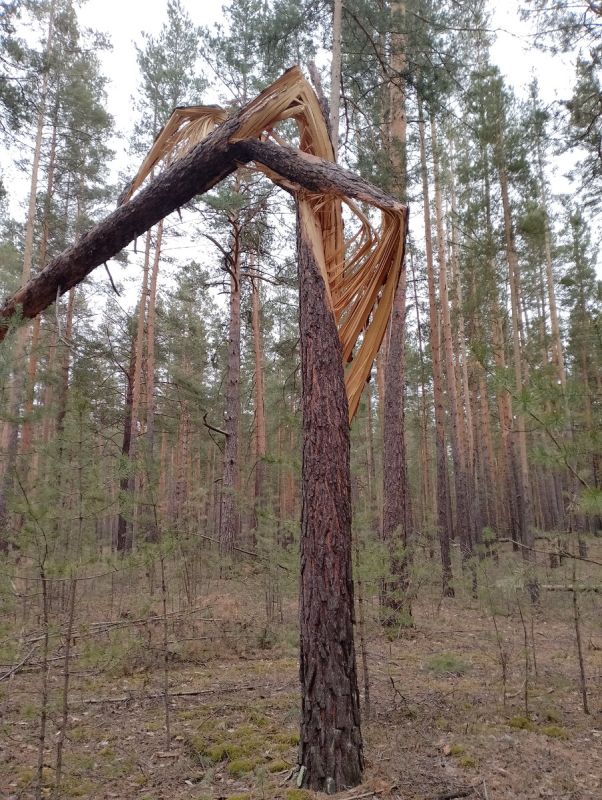 ����������� �������: ������ � ���� � ������ ����� ����������� ����� ���������