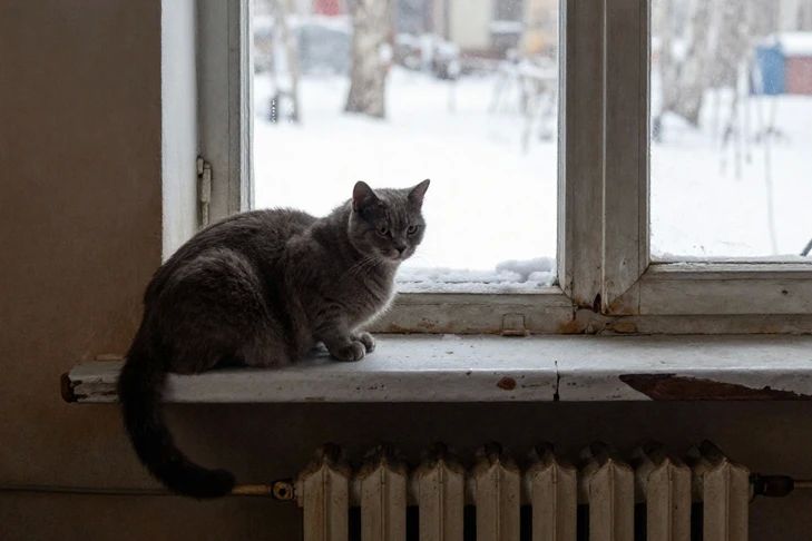 � ���������� ������������� ������ ������� ��� ������������