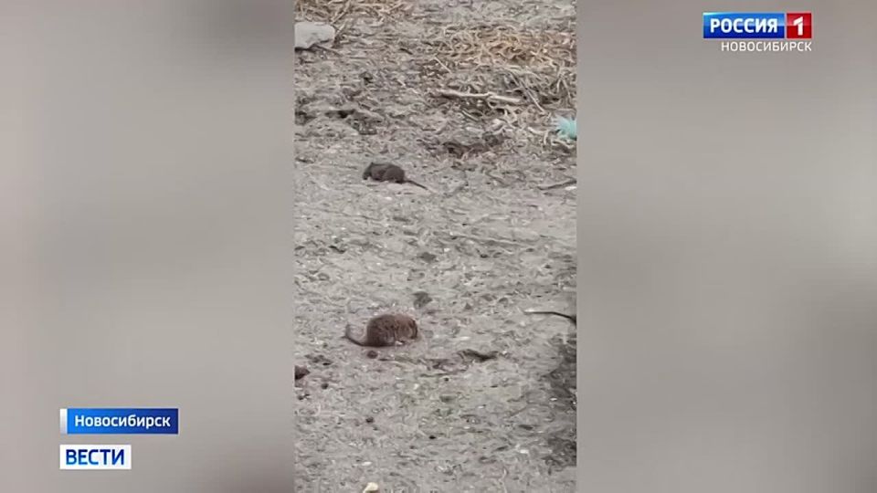 ��������� ���������. �� 2025 ��� � ������ 2026 ���� � ��������������� ��������� ������ ����� ����� �� ��������� ������� ������� ���� � ����� ������������