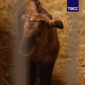 � ������������ � ������������ � �� ���� ���������� ������� ��������� ���������