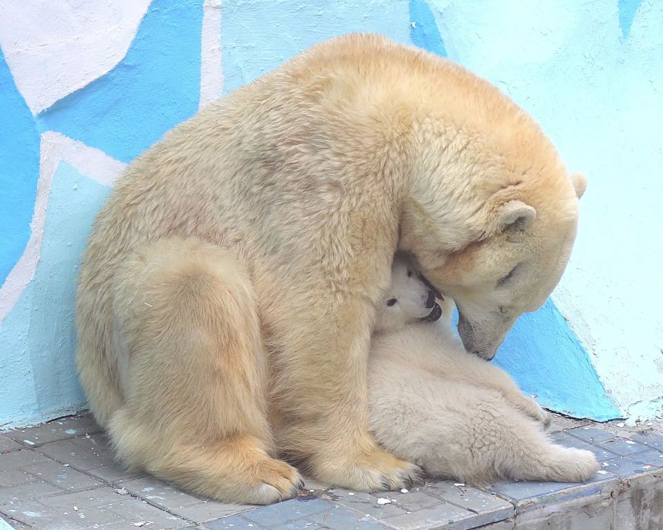 ������ � ����� ����� ����������� ����� ���? ������ ���������� ��� � �����