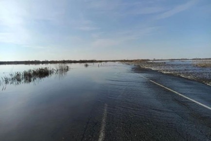 ����� ���� ������������� ������ �� ���� ������� � ������������� �������