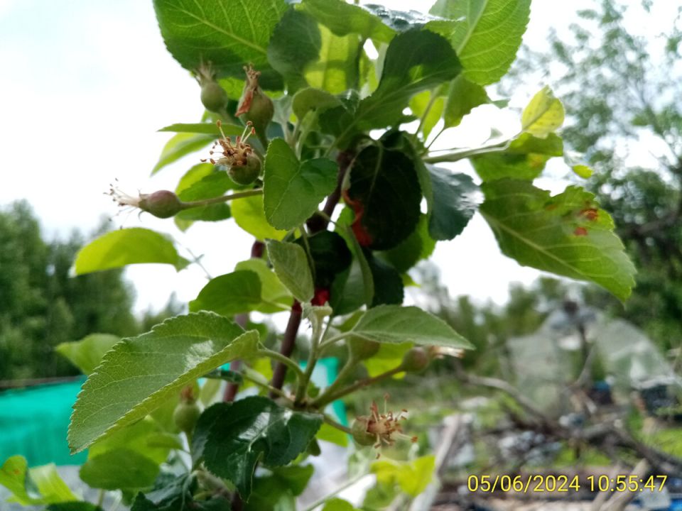 ��� ������� ��������� �������� �� ������ ����� �����