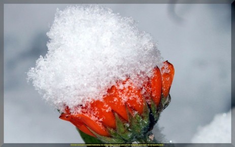 ���-3 ���������� ���������� ������ ��� ������� �����