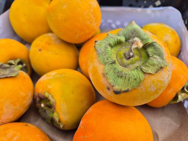 ���������� ����� �� �����������: � ���������� ���������� ������� ����