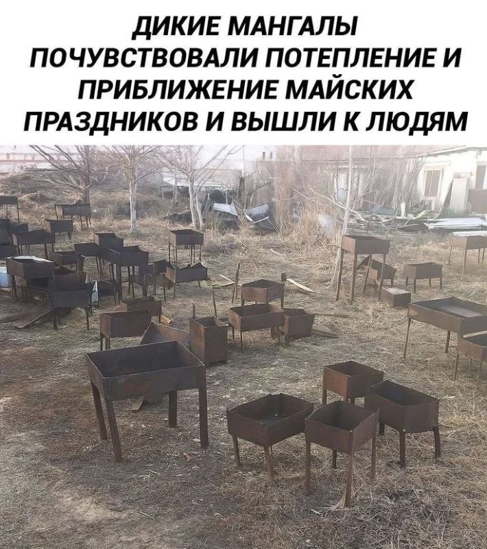 ���-5 ��������� ��������� ��� �������