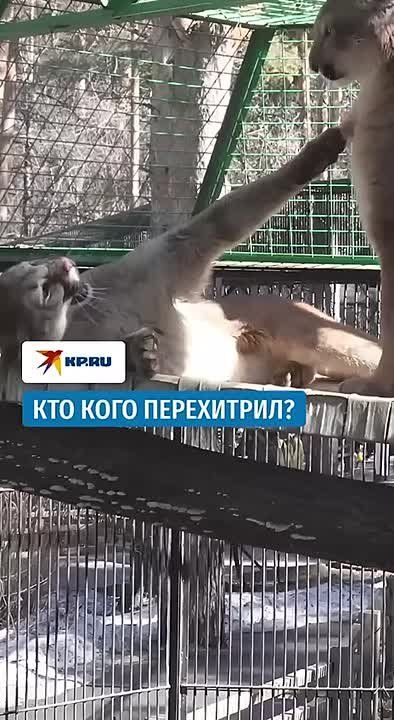 �������� ���� � ������������� �������� � ����� ��������� �����