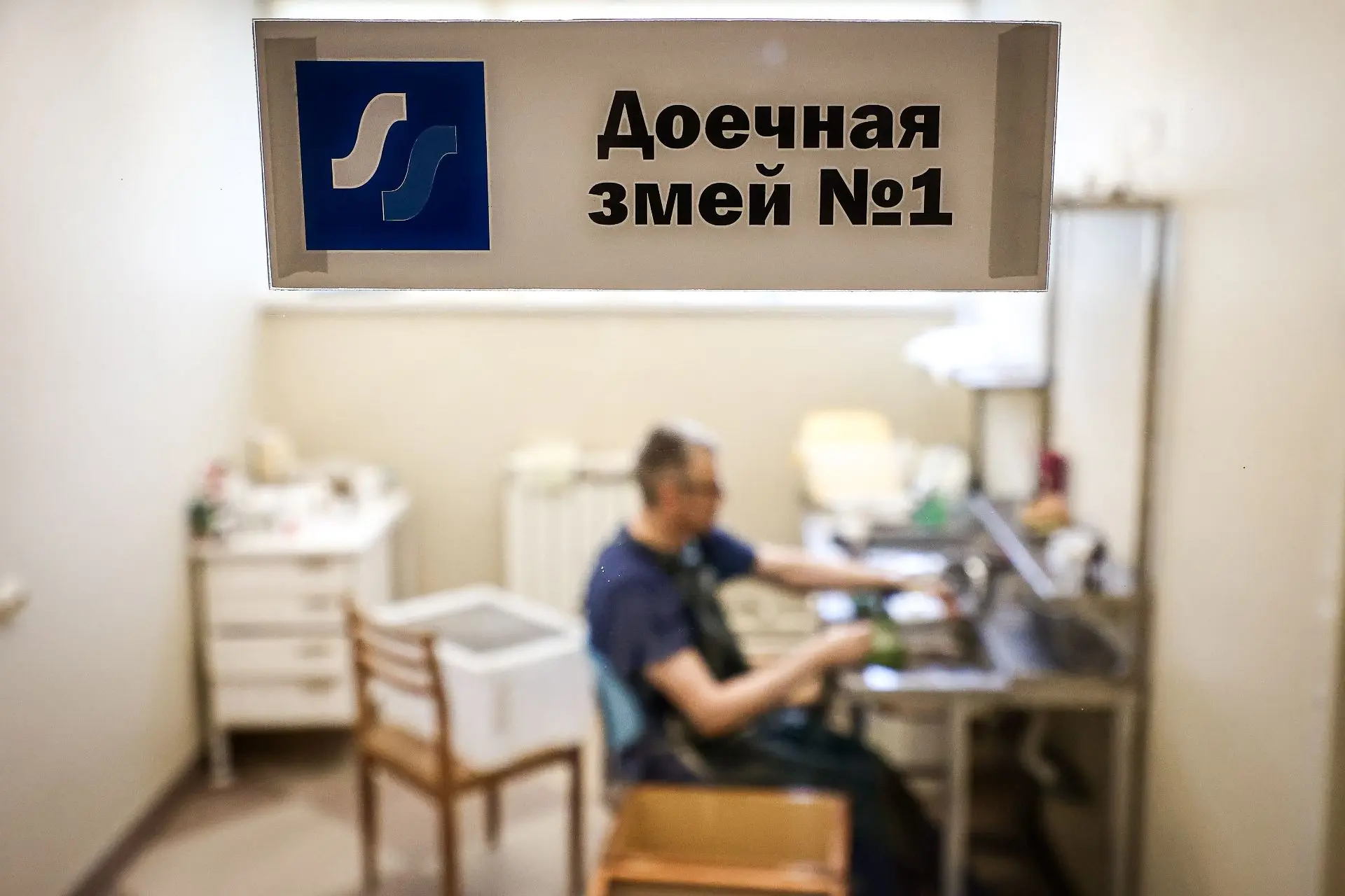 Проснулись гады: весеннюю приёмку змей начали в новосибирском серпентарии Проснулись гады: весеннюю приёмку змей начали в новосибирском серпентарии