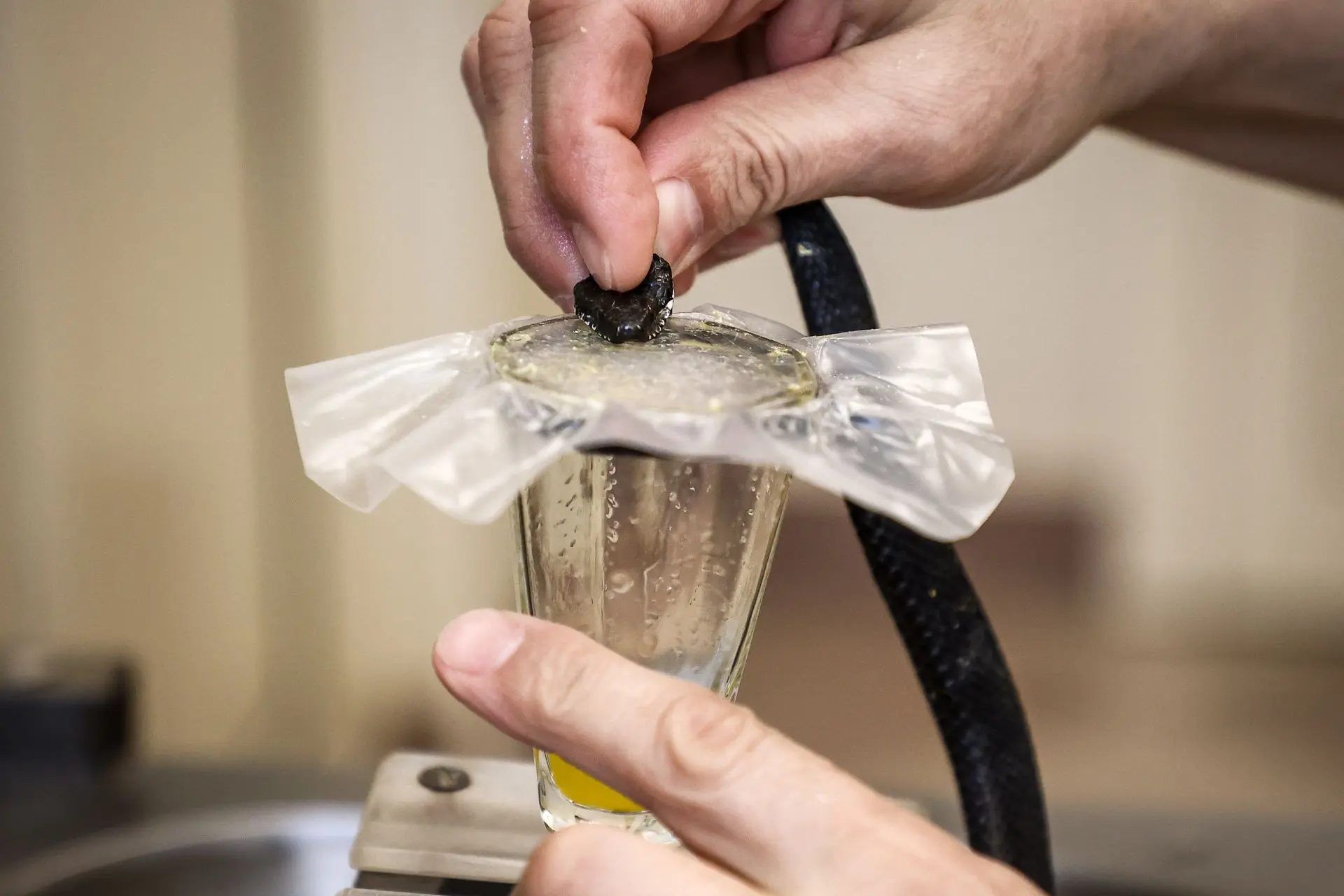 Проснулись гады: весеннюю приёмку змей начали в новосибирском серпентарии Проснулись гады: весеннюю приёмку змей начали в новосибирском серпентарии