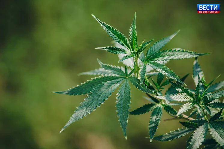 ������� �� �����������. ������������� ��� ����� �������� ���� ���������� �� ���������� �������� ����������