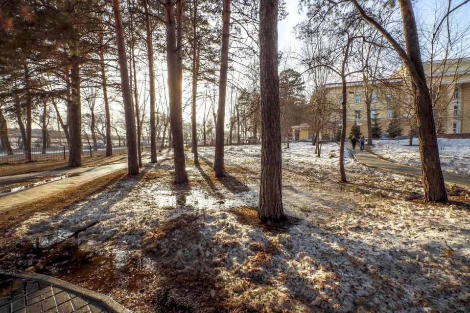 ����� ����� ������� ������������