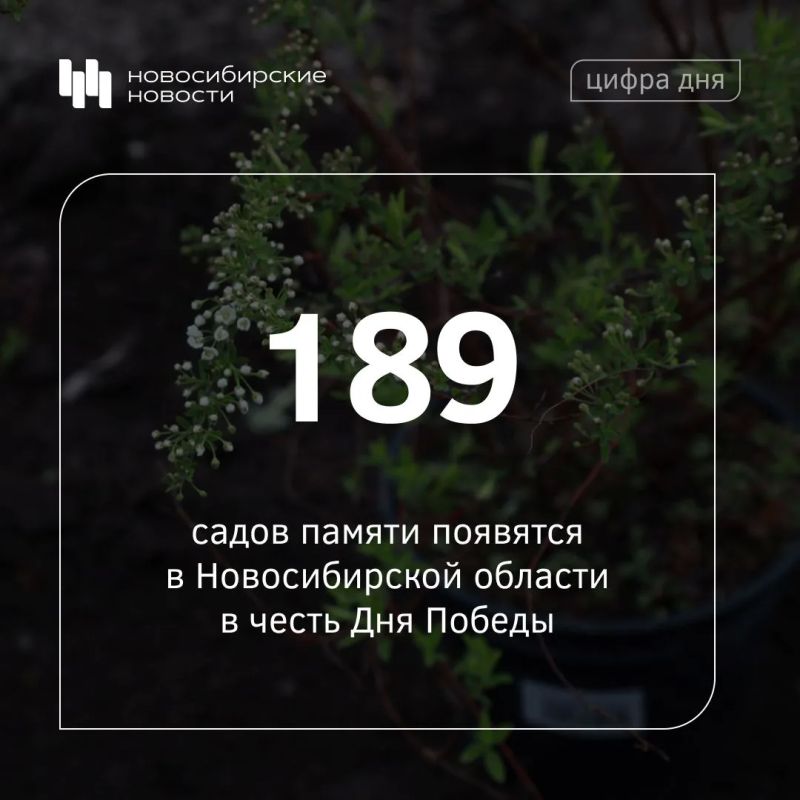 ������������� ����� ���� ������ �������� � ������������� ������� ����� ������