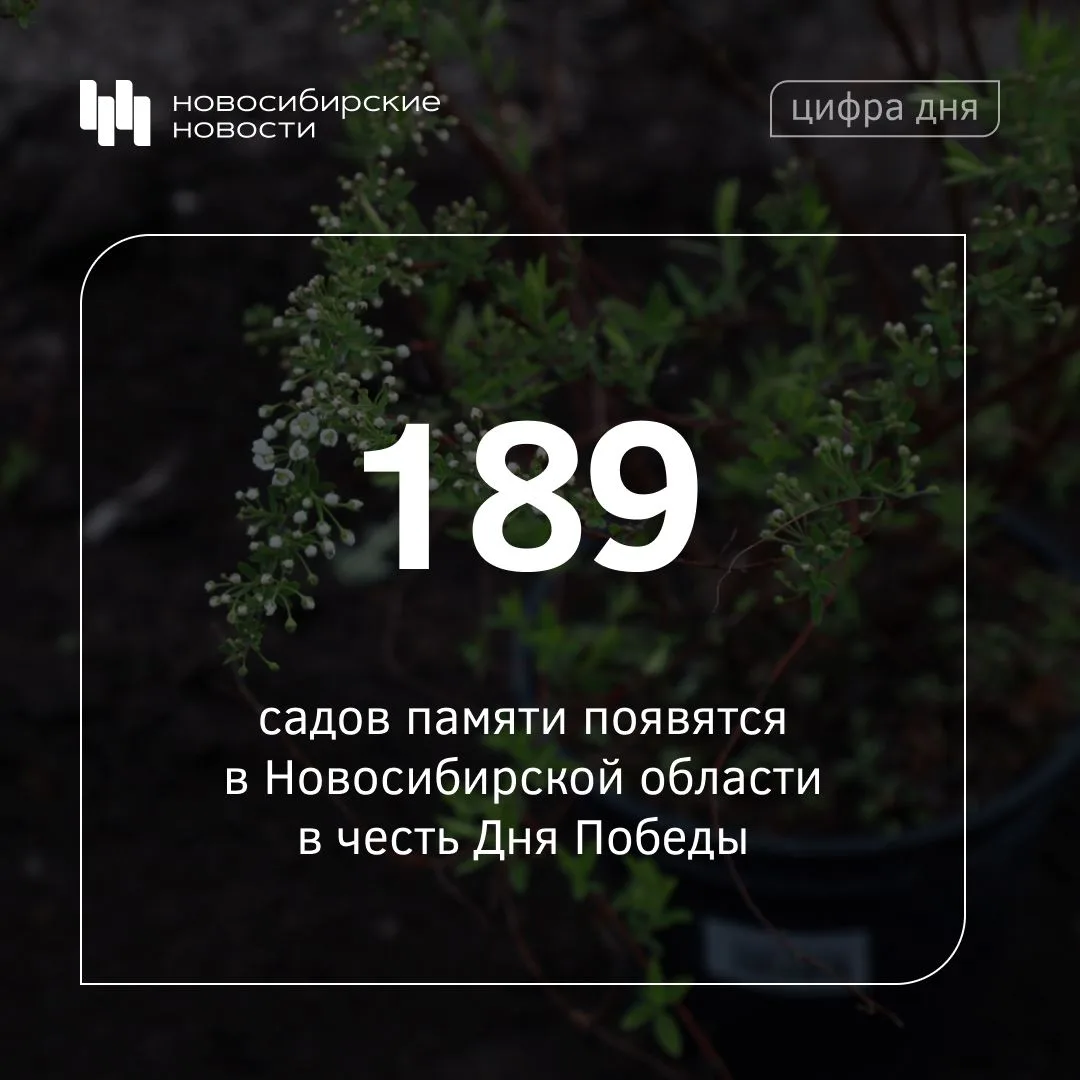 Международная акция «Сад памяти» стартует в Новосибирской области конце апреля