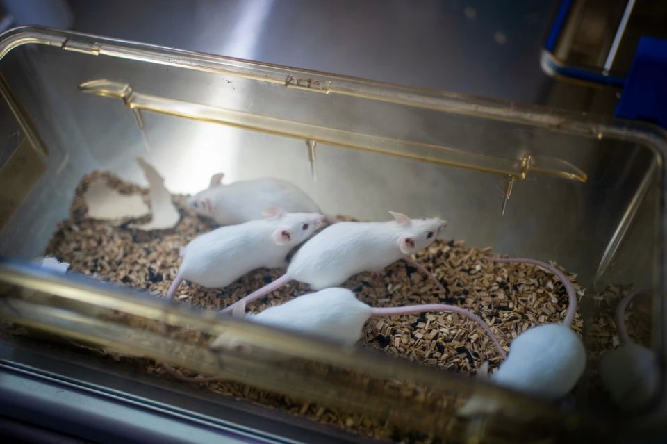 ������������ ���� ���������� � ����� ������������� �������