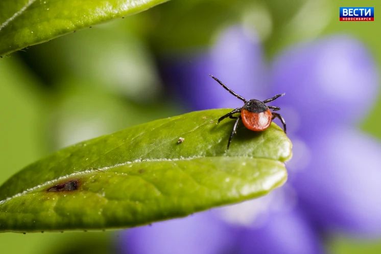 27 ������. � ������������� ������� � ������ ������ ������������� 27 ��������� � ������� �� ������ ������ ������