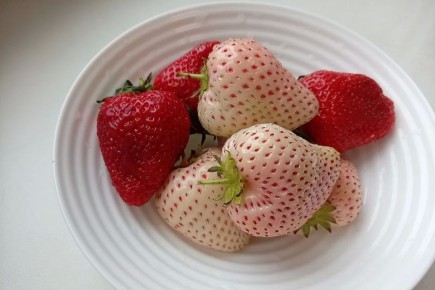 ����� �������� �� ����� ������ ��������� � ������������