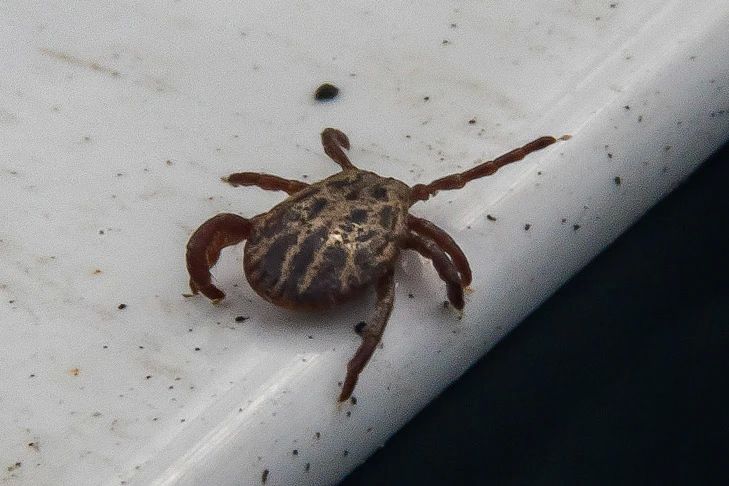 ������� ������ � ��������� ������� � ������������� �������