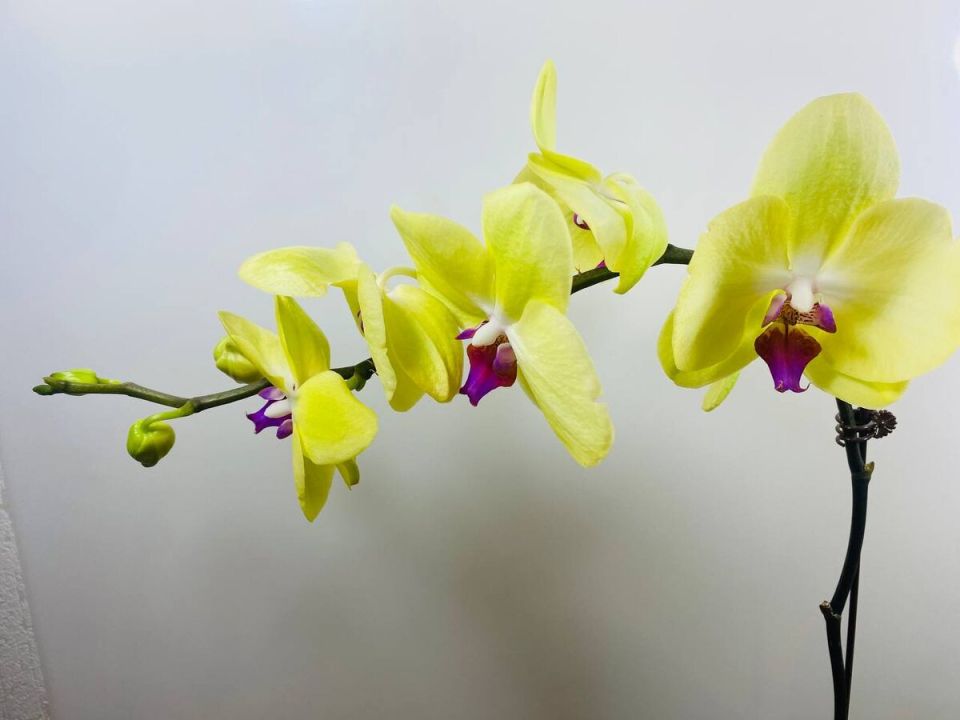 ������� ��������� ����� �� ���������: ������ ��� ������� ���������