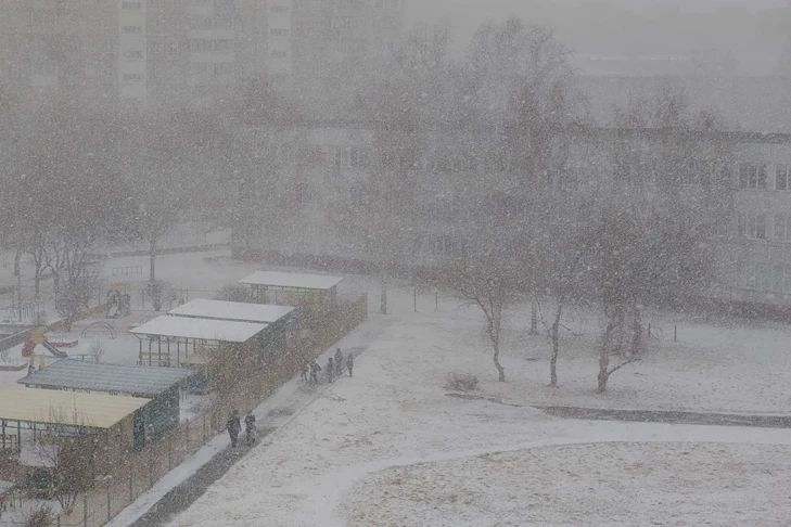 ������� ����� ������ ����������� 17 ������ ����� ������ �����������